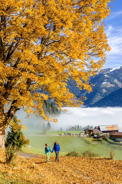 Herbst in Gastein